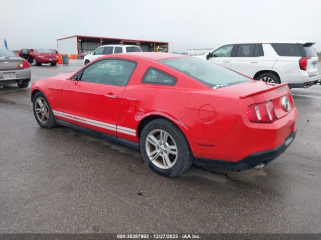 Photo 2 VIN: 1ZVBP8AM7B5138500 - FORD MUSTANG 