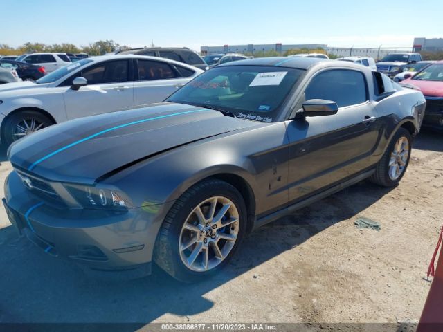 Photo 1 VIN: 1ZVBP8AM7B5145155 - FORD MUSTANG 