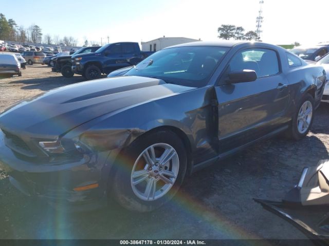 Photo 1 VIN: 1ZVBP8AM7B5162179 - FORD MUSTANG 