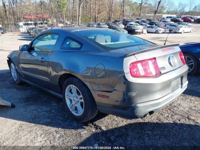 Photo 2 VIN: 1ZVBP8AM7B5162179 - FORD MUSTANG 