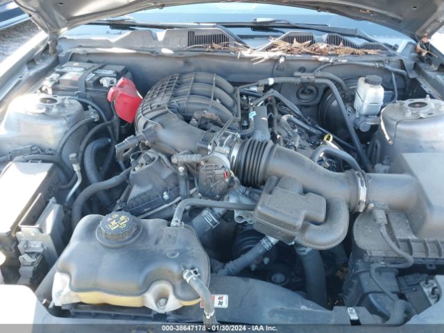 Photo 9 VIN: 1ZVBP8AM7B5162179 - FORD MUSTANG 