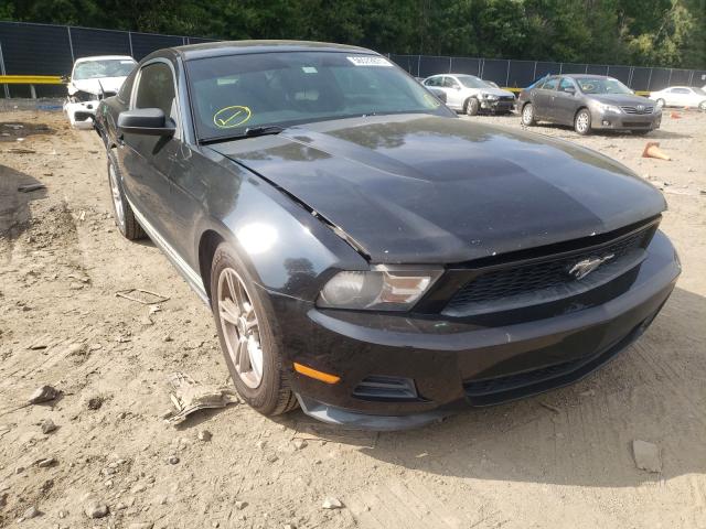 Photo 0 VIN: 1ZVBP8AM7B5164546 - FORD MUSTANG 