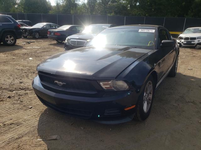 Photo 1 VIN: 1ZVBP8AM7B5164546 - FORD MUSTANG 