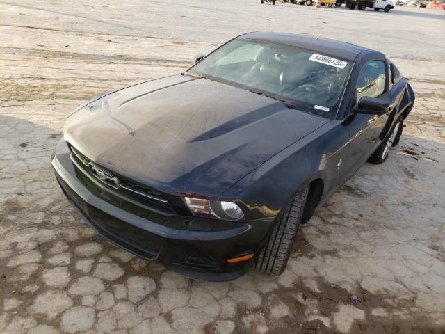 Photo 1 VIN: 1ZVBP8AM7C5206165 - FORD MUSTANG 