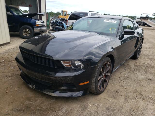 Photo 1 VIN: 1ZVBP8AM7C5213326 - FORD MUSTANG 