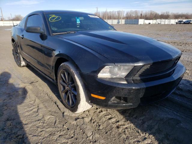 Photo 0 VIN: 1ZVBP8AM7C5240199 - FORD MUSTANG 