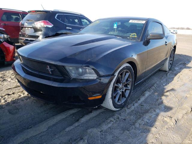 Photo 1 VIN: 1ZVBP8AM7C5240199 - FORD MUSTANG 