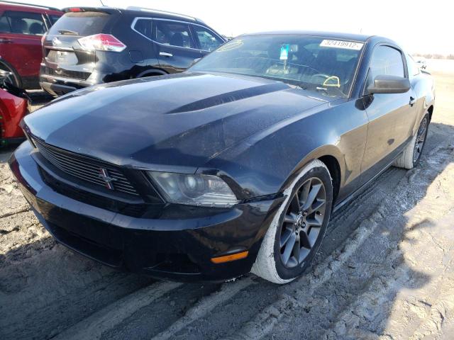 Photo 8 VIN: 1ZVBP8AM7C5240199 - FORD MUSTANG 