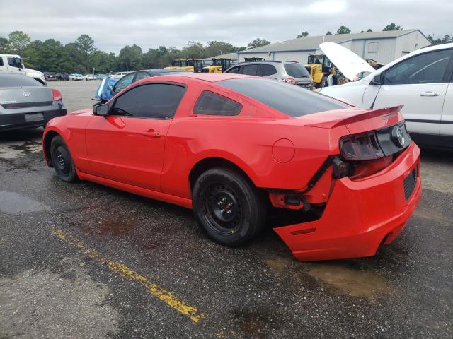 Photo 1 VIN: 1ZVBP8AM7D5203235 - FORD MUSTANG 