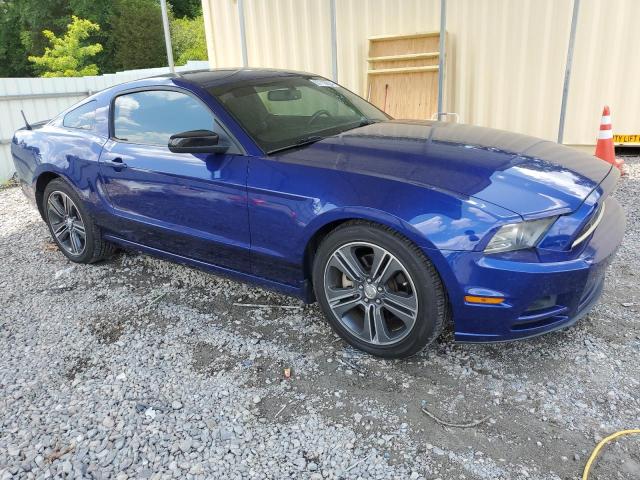 Photo 3 VIN: 1ZVBP8AM7D5205714 - FORD MUSTANG 