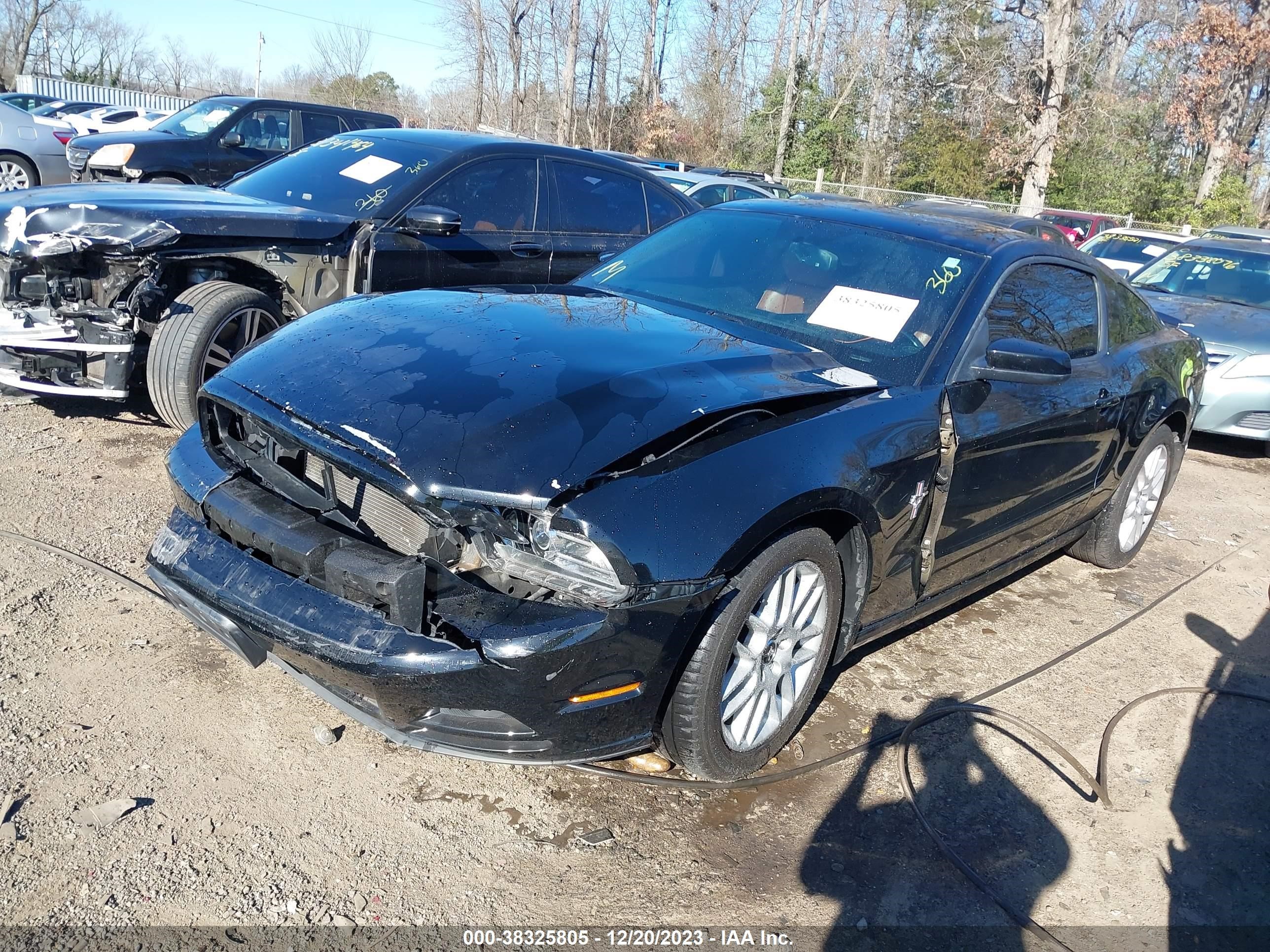 Photo 1 VIN: 1ZVBP8AM7D5210606 - FORD MUSTANG 