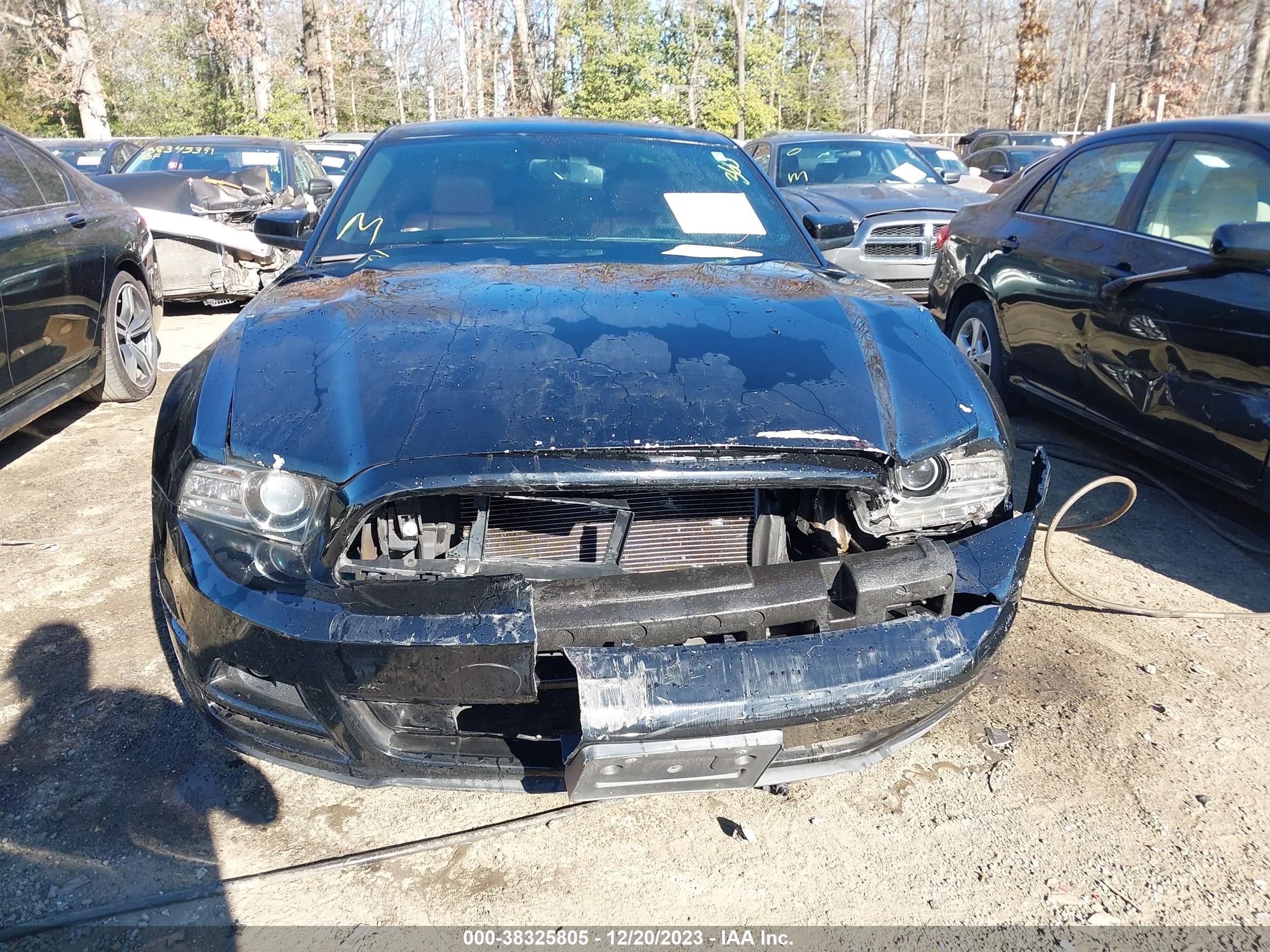 Photo 11 VIN: 1ZVBP8AM7D5210606 - FORD MUSTANG 