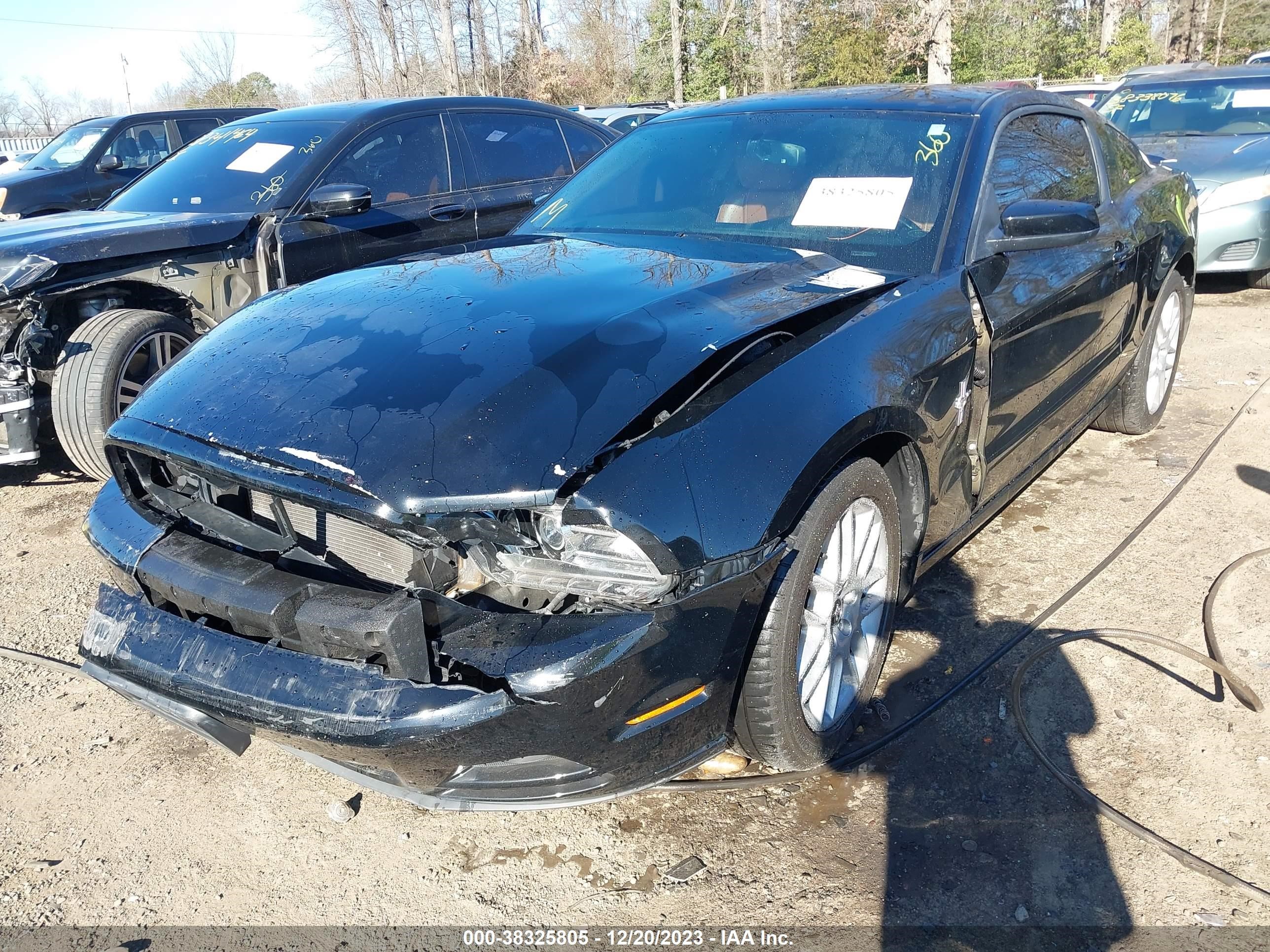 Photo 5 VIN: 1ZVBP8AM7D5210606 - FORD MUSTANG 