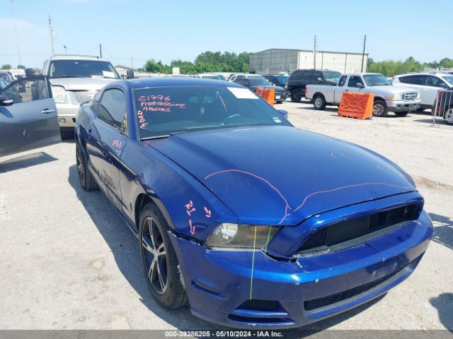 Photo 0 VIN: 1ZVBP8AM7D5224893 - FORD MUSTANG 