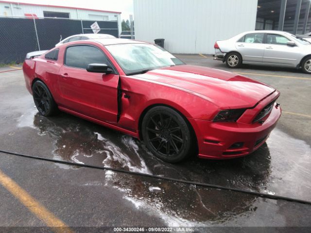 Photo 0 VIN: 1ZVBP8AM7D5238177 - FORD MUSTANG 