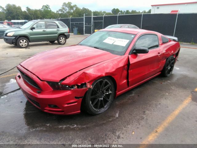 Photo 1 VIN: 1ZVBP8AM7D5238177 - FORD MUSTANG 