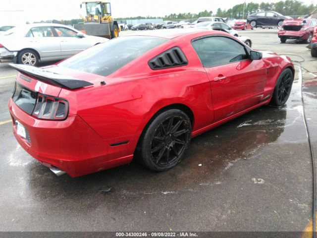 Photo 3 VIN: 1ZVBP8AM7D5238177 - FORD MUSTANG 