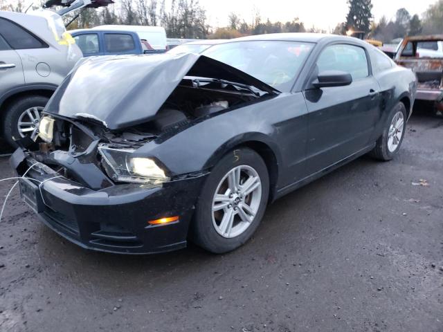 Photo 1 VIN: 1ZVBP8AM7D5241628 - FORD MUSTANG 