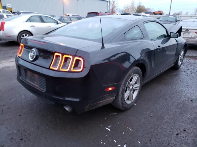 Photo 3 VIN: 1ZVBP8AM7D5241628 - FORD MUSTANG 