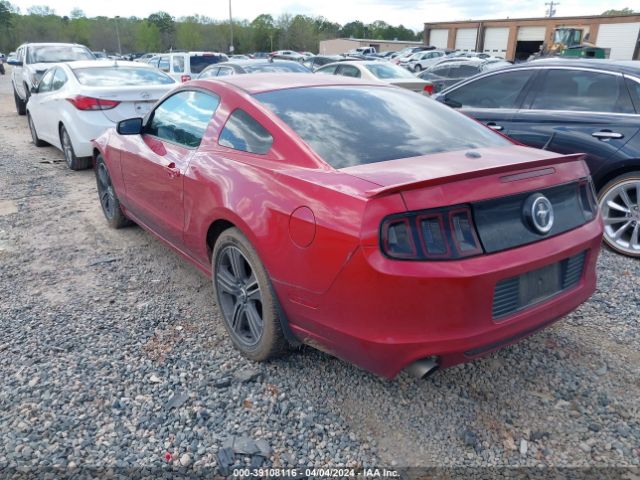 Photo 2 VIN: 1ZVBP8AM7D5252872 - FORD MUSTANG 