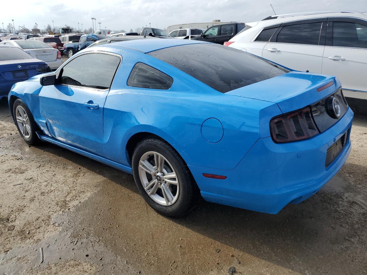 Photo 1 VIN: 1ZVBP8AM7D5254640 - FORD MUSTANG 