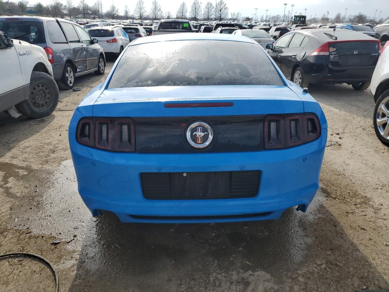 Photo 5 VIN: 1ZVBP8AM7D5254640 - FORD MUSTANG 