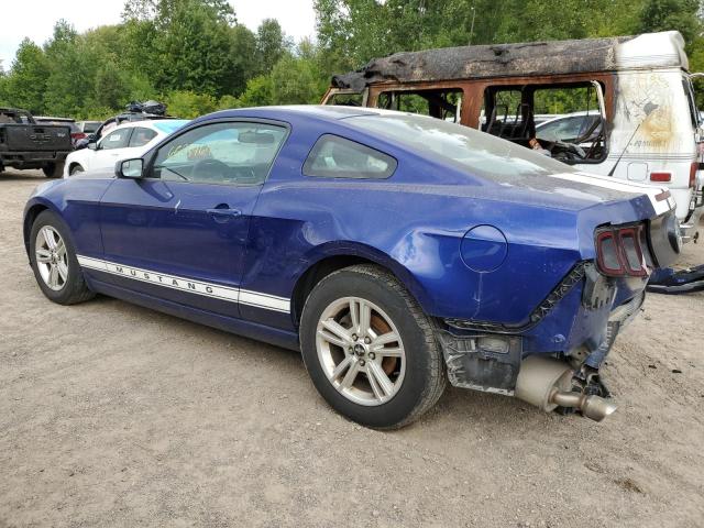 Photo 1 VIN: 1ZVBP8AM7D5269042 - FORD MUSTANG 