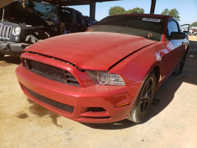 Photo 1 VIN: 1ZVBP8AM7D5270921 - FORD MUSTANG 