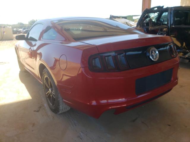 Photo 2 VIN: 1ZVBP8AM7D5270921 - FORD MUSTANG 