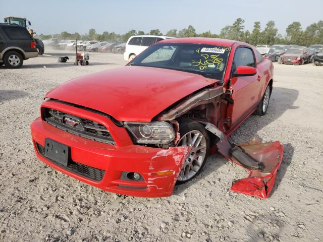 Photo 1 VIN: 1ZVBP8AM7D5271339 - FORD MUSTANG 