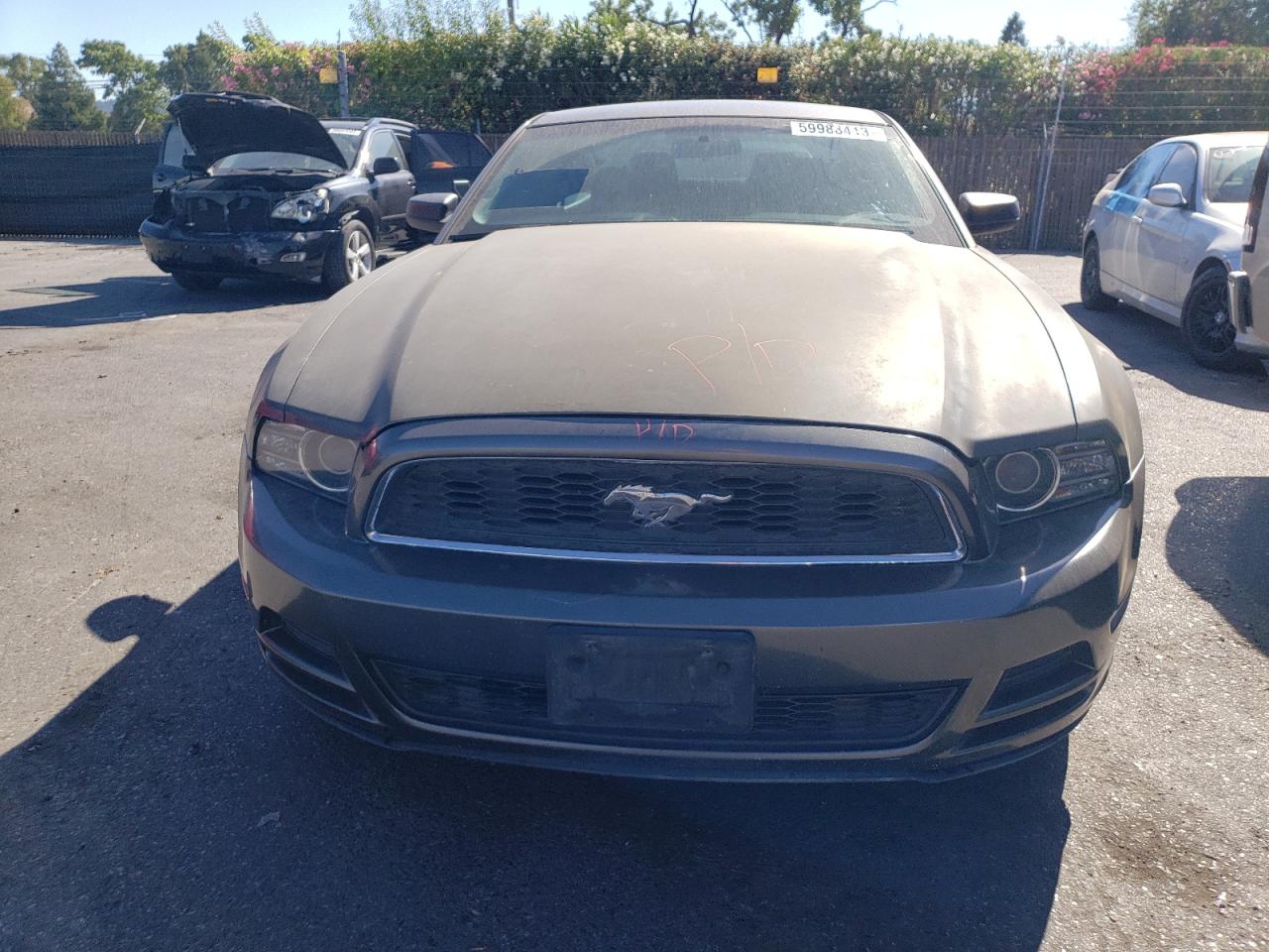 Photo 4 VIN: 1ZVBP8AM7D5271695 - FORD MUSTANG 