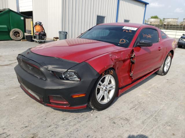 Photo 1 VIN: 1ZVBP8AM7D5274919 - FORD MUSTANG 