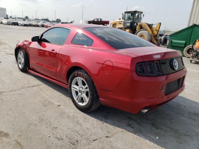 Photo 2 VIN: 1ZVBP8AM7D5274919 - FORD MUSTANG 