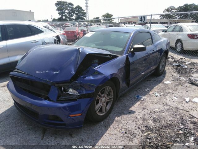 Photo 1 VIN: 1ZVBP8AM7D5281384 - FORD MUSTANG 