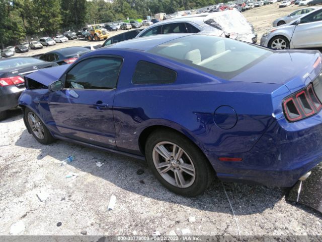 Photo 2 VIN: 1ZVBP8AM7D5281384 - FORD MUSTANG 