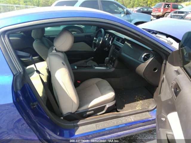 Photo 4 VIN: 1ZVBP8AM7D5281384 - FORD MUSTANG 