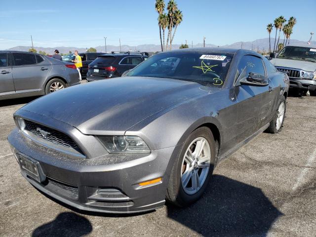 Photo 1 VIN: 1ZVBP8AM7D5282406 - FORD MUSTANG 