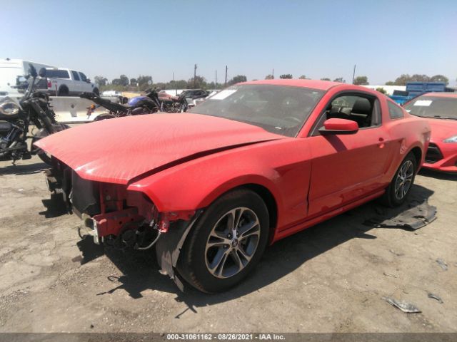 Photo 1 VIN: 1ZVBP8AM7D5282423 - FORD MUSTANG 