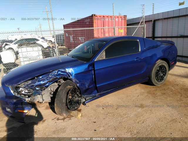 Photo 1 VIN: 1ZVBP8AM7E5207920 - FORD MUSTANG 