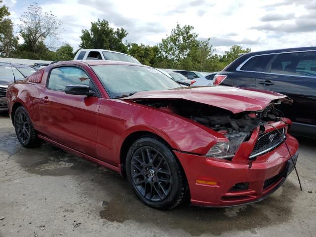 Photo 3 VIN: 1ZVBP8AM7E5219176 - FORD MUSTANG 