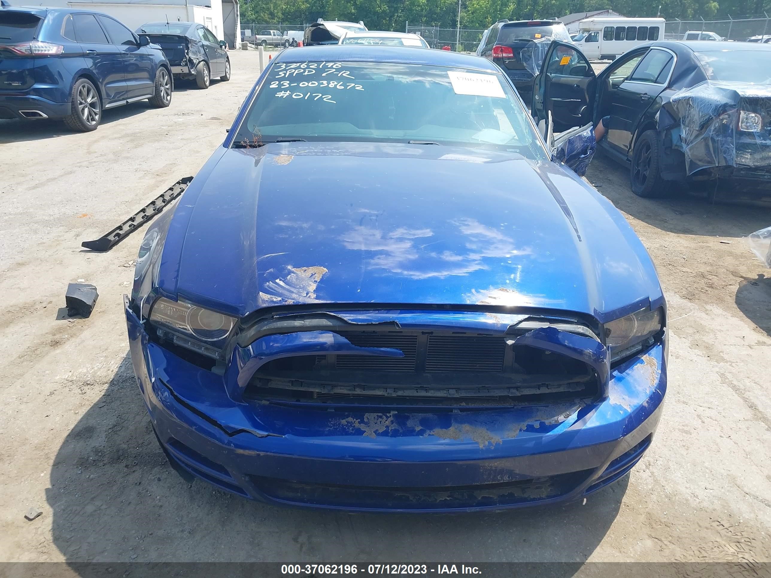 Photo 12 VIN: 1ZVBP8AM7E5230789 - FORD MUSTANG 