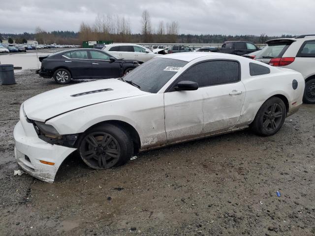 Photo 0 VIN: 1ZVBP8AM7E5241713 - FORD MUSTANG 