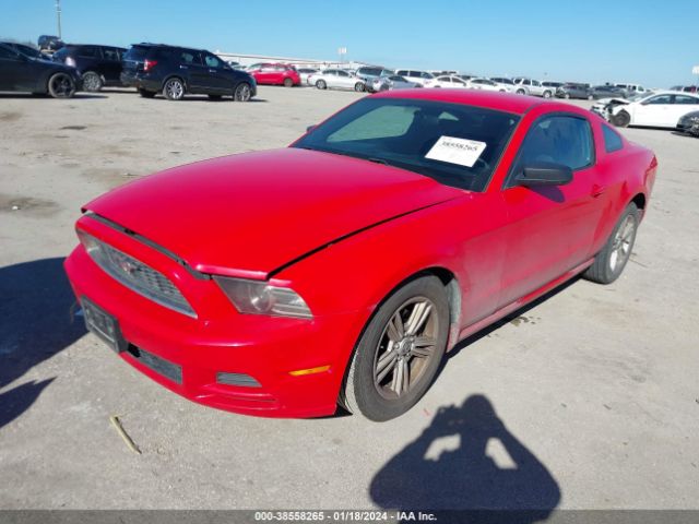 Photo 1 VIN: 1ZVBP8AM7E5242523 - FORD MUSTANG 