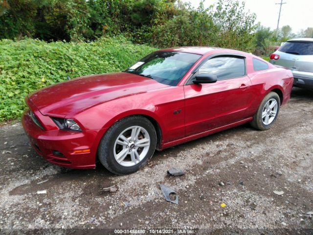 Photo 1 VIN: 1ZVBP8AM7E5249150 - FORD MUSTANG 