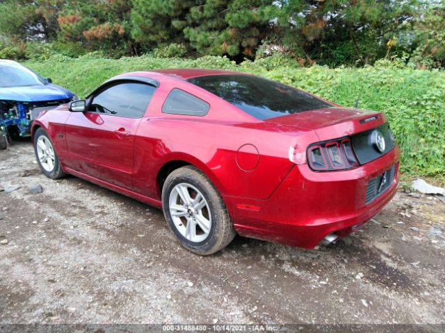 Photo 2 VIN: 1ZVBP8AM7E5249150 - FORD MUSTANG 