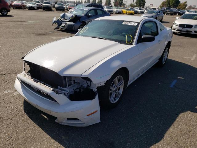 Photo 1 VIN: 1ZVBP8AM7E5252601 - FORD MUSTANG 