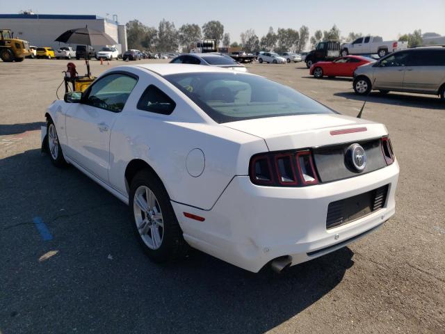 Photo 2 VIN: 1ZVBP8AM7E5252601 - FORD MUSTANG 