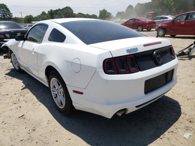 Photo 2 VIN: 1ZVBP8AM7E5258804 - FORD MUSTANG 