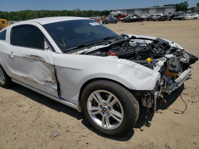 Photo 8 VIN: 1ZVBP8AM7E5258804 - FORD MUSTANG 