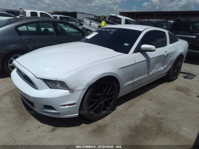 Photo 1 VIN: 1ZVBP8AM7E5262495 - FORD MUSTANG 